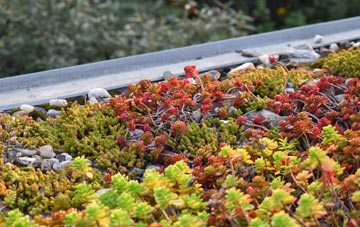 the cost of Frochas green roof installation