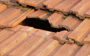 roof repair Frochas, Powys