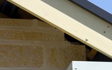 soffit repair Frochas