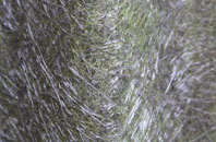 Frochas fibreglass roof work